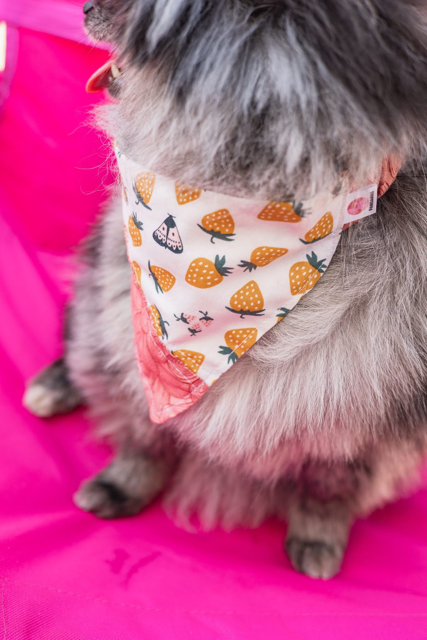 Strawberry Fields Scrunchdana