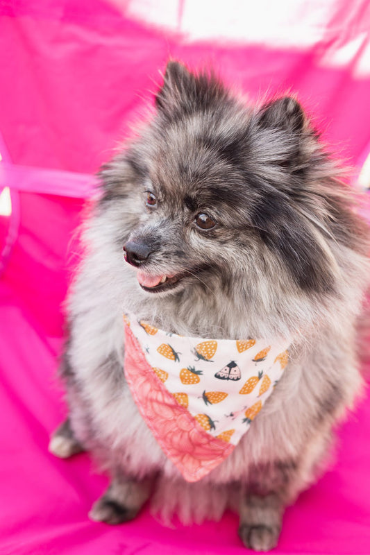 Strawberry Fields Scrunchdana