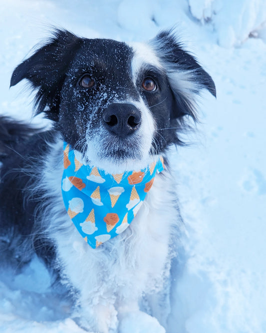 Ice Cream Cone Tiedana