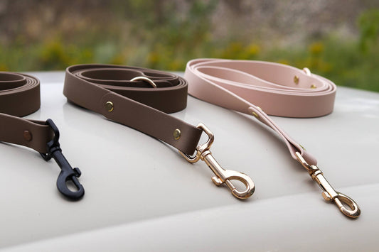 5' Biothane Leash