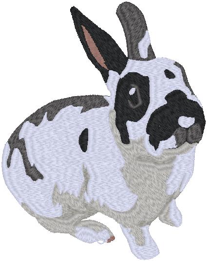 Oreo Rabbit Embroidered Sweatshirt